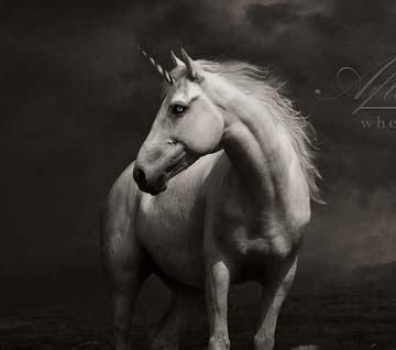 ddos在线攻击工具