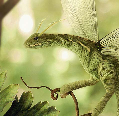 在哪买最划算的DDOS接单平台