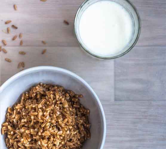 自动攻击网站工具下载